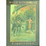 WILD WOODBINE CIGARETTES. 23.25 x 18.25ins, original framed advert with 1930â€™s pictorial image