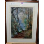 Thomas Tayler Ireland (fl.c.1880-1927), A wooded river bank, watercolour, signed, 50cm x 34cm.