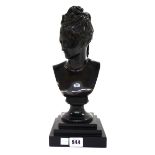 After Jean Goujon; a patinated bronze bust, early 20th century,