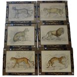 A set of six 18th century style pictures of wildcats, modern,