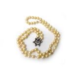 A cultured pearl, diamond and sapphire necklace, strung with a single row of cultured pearls,