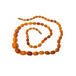 A single row necklace of graduated oval vary coloured mottled butterscotch coloured amber beads,