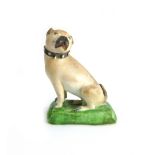 A Derby porcelain pug dog, late 18th century,