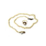 A single row necklace of graduated cultured pearls, on a paste set clasp, length 41.