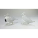 A Lalique frosted glass duck, late 20th century, etched 'Lalique France' to the circular base, 12.