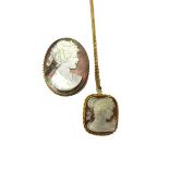 A 9ct gold mounted, curved rectangular shell cameo pendant brooch,