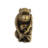 A Japanese ivory netsuke of a monkey, early 20th century, carved seated with a fruiting branch, 4cm.