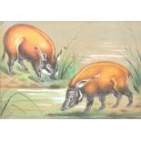 English School, Late 19th/Early 20th Century, Warthogs and hippopotamus drinking, a pair, pastel,