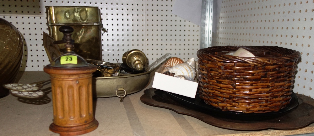 Collectables including sea shells, a coffee grinder, door knobs, assorted brass ware and sundry,