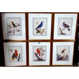 After George Edwards, a set of twelve ornithological studies, modern reproduction prints,