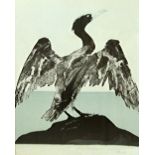 Elizabeth Frink (1930-1993), Cormorant, lithograph, signed in pencil, numbered **7/150,