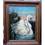 English School (20th century), Swan, oil on canvas, 45cm x 34.5cm.