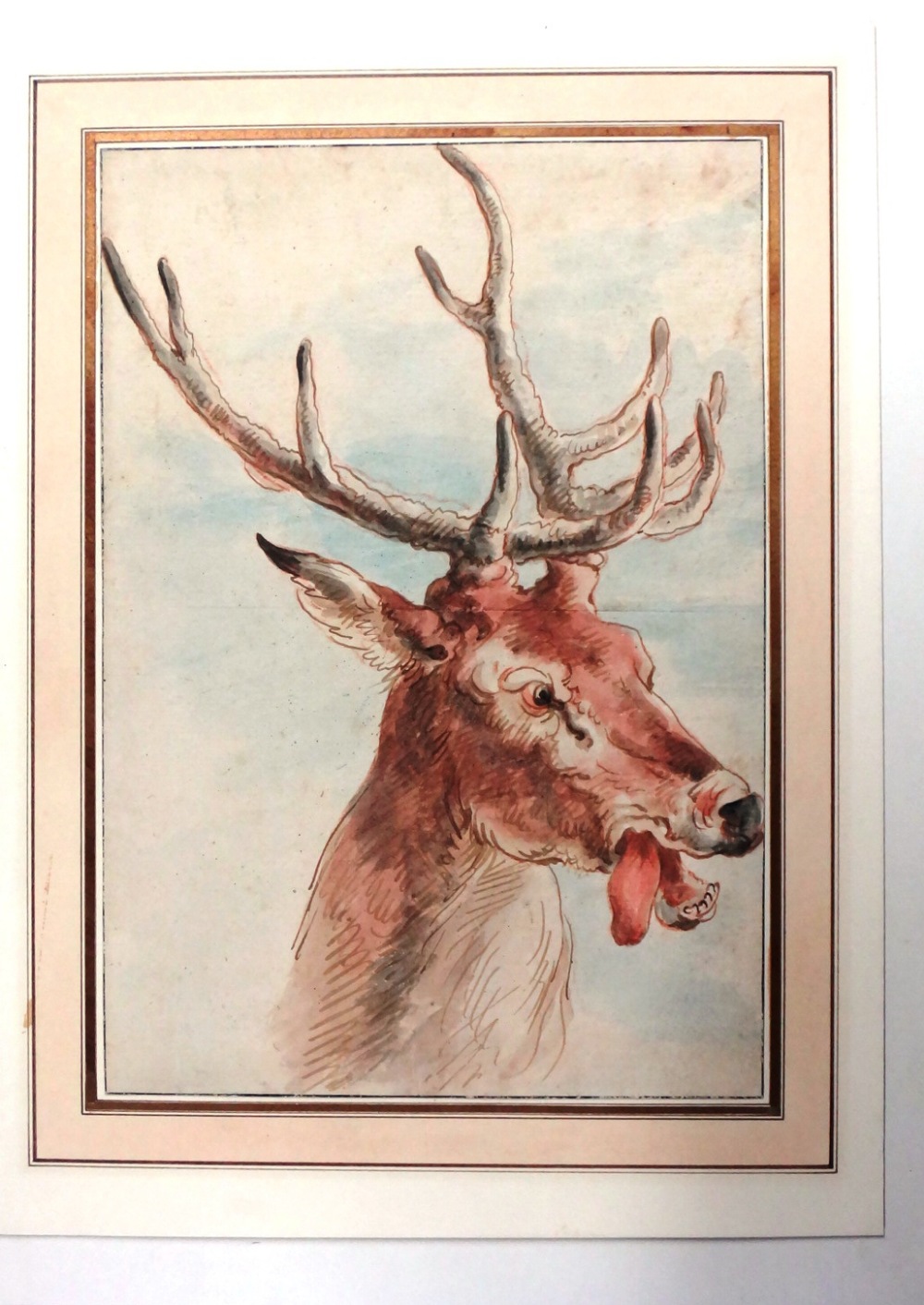 Continental School (19th century), Head study of a stag, pen, ink and watercolour, unframed, 29.