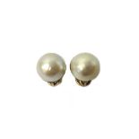 A pair of gold mounted mabe pearl earclips.