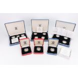 Royal Mint - a collection of fourteen cased silver proof one pound coins 1992 - 2007.