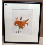 Norman Stevens (British, 1937-1988), First Lily, etching and aquatint, signed,