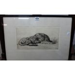 Herbert Thomas Dicksee (1862-1942), Sleeping Tigress, etching, signed in pencil, 18cm x 35cm.