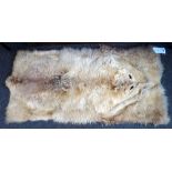 Taxidermy; Arctic Fox (Vulpes Lagopus), early 20th century, flat skin, un-mounted, 140cm x 65cm.