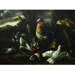 Genoese School (17th century), a concert of birds, oil on canvas, 71.5cm x 96cm.