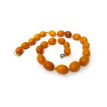 A single row necklace of uniform vary coloured oval butterscotch coloured amber beads,