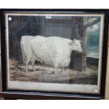 After G. Garrard, The Durham White Ox, colour mezzotint by William Ward, 50cm x 60cm.