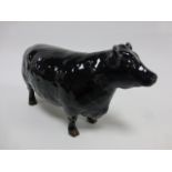 Beswick - Aberdeen Angus Cow model No1563.