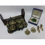 Twelve martingales with attached & loose horse brasses, pair of brass horse head coat hooks,