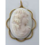 Cameo pendant with rope twist gold mount, tests and 18ct, 3.7x4.5cms excluding bale.