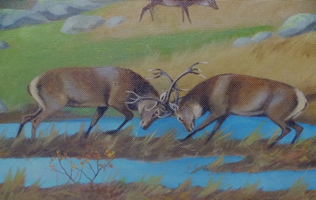 RALSTON GUDGEON, RSW "October in the Hills" Red deer depicting Stags rutting, Oil on board, - Image 4 of 5