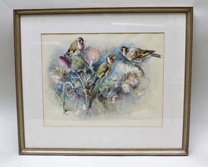 HILDA CHANCELLOR POPE "Gold Finches" a study amongst thistle, Watercolour, signed and inscribed