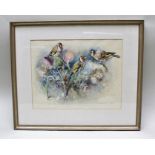 HILDA CHANCELLOR POPE "Gold Finches" a study amongst thistle, Watercolour, signed and inscribed