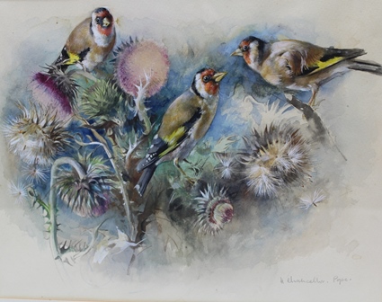 HILDA CHANCELLOR POPE "Gold Finches" a study amongst thistle, Watercolour, signed and inscribed - Image 2 of 3