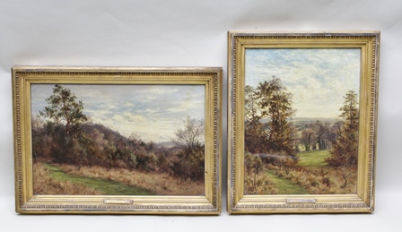 J** F** W** Late 19th century studies of wooded landscapes, Oils on canvas, a pair, initialled and