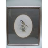 MICHAEL SPENCER "Coal Tit on Blackthorn", a Watercolour, signed and inscribed on label verso for "