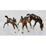 THREE BESWICK EARTHENWARE FIGURES OF BAY FOALS, 8cm, 9cm and 10cm high (3)