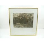 JO BARRY "Early Foal", a limited edition Etching, signed, inscribed and numbered 163/175, 19cm x