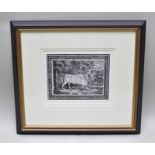 AFTER THOMAS BEWICK "The Chillingham Bull", a woodblock print, 18cm x 24cm, mounted in ebonised