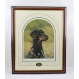 AFTER JOHN SILVER "Classic Breeds - Dobermann" a limited edition colour print no.27/500, signed in