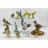 A RUSSIAN PORCELAIN MAGPIE 25cm high, together with OTHER BIRDS, various European factories (14)