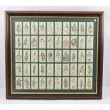 A SET OF JOHN PLAYER CIGARETTE CARDS 'Characters from Dickens', fifty cards, stained wood glazed