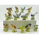 A COLLECTION OF SIXTEEN BESWICK CERAMIC BRITISH BIRD MODELS including Grey Wagtail, Pied Wagtail