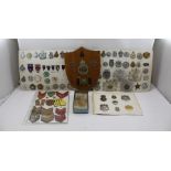 A LARGE COLLECTION OF WORLD POLICE BADGES, includes an oak shield mounted with Palestine Police