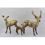 A BESWICK DEER FAMILY with Stag, Doe and Faun; stag to tips of antlers, 19.5cm high