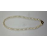 A SINGLE STRAND PEARL NECKLACE fitted with a 9ct gold, pearl set clasp