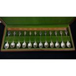 A boxed set of The Royal Horticultural Society Flower Spoons, comprising of twelve silver spoons