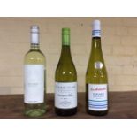 *4 bottles of Natalie Verga 2015 Pinot Grigio, 4 bottles of Wairau Cove 2015 Sauvignon Blanc, and