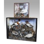 Two glass cabinets containing taxidermy birds to include a selection of ducks and a kingfisher on