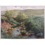 F. PATERSON. Framed, signed, watercolour countryside scene with stream and trees, 25.4cm x 35.1cm.