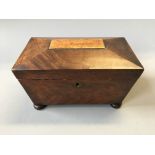 A mahogany sarcophagus tea caddy.