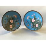 A pair of cloisonné plates with blue floral and bird design.